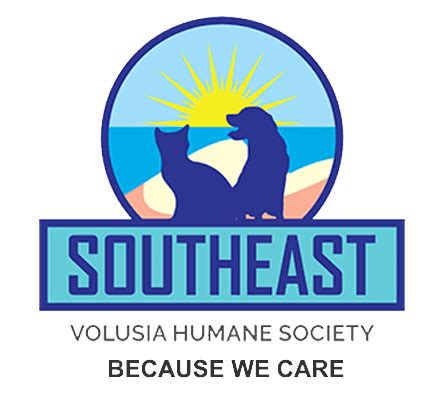 Southeast volusia humane society - If you have any questions, please email: beachsafety@volusia.org or call 386-239-6414. How Can We Serve You? Contact Us. If you don't find what you're looking for you can reach out to us through our contact form or call us at 386-736-2700. Thank you! 123 W. Indiana Ave. DeLand, FL 32720 (386) 736-2700.